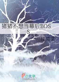 [����] �������뵱Ļ��BOSS
