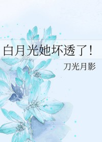 ���¹�����͸��