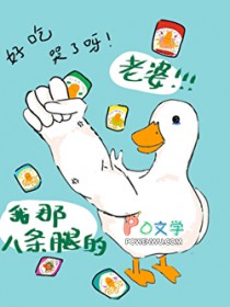 ���ǰ����ȵ�����
