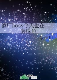 [����]�Ƴ�boss����Ҳ��װ����
