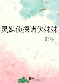 [����] ��ý��̽�������