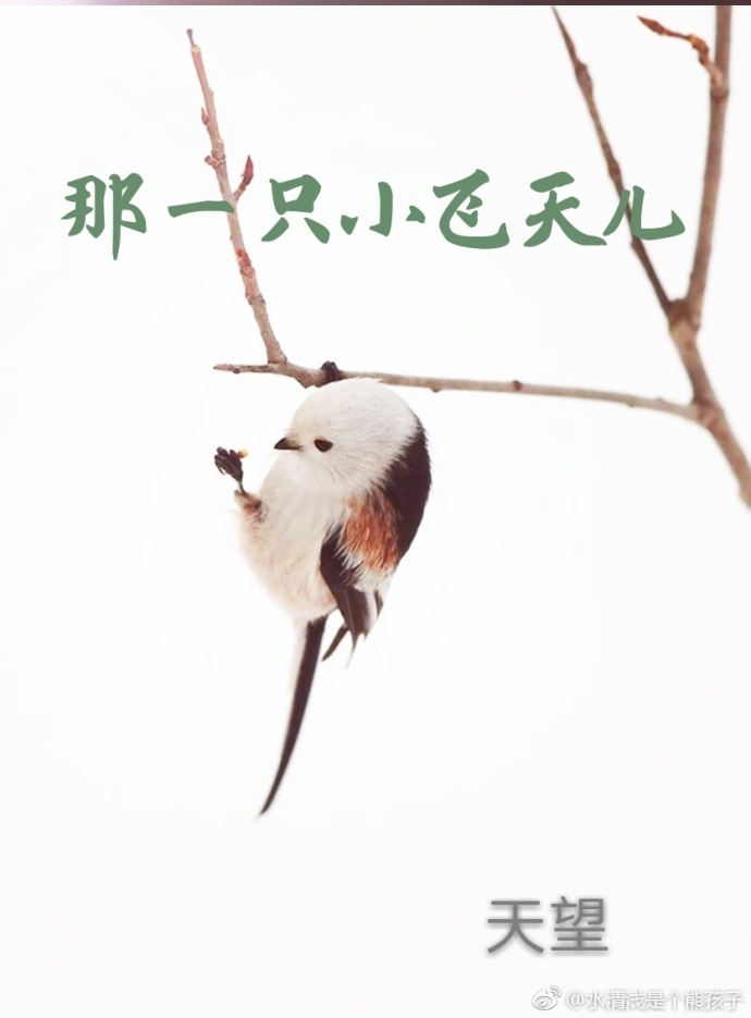 ��һֻС�����