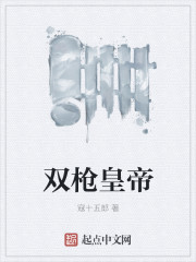 ˫ǹ�ʵ�